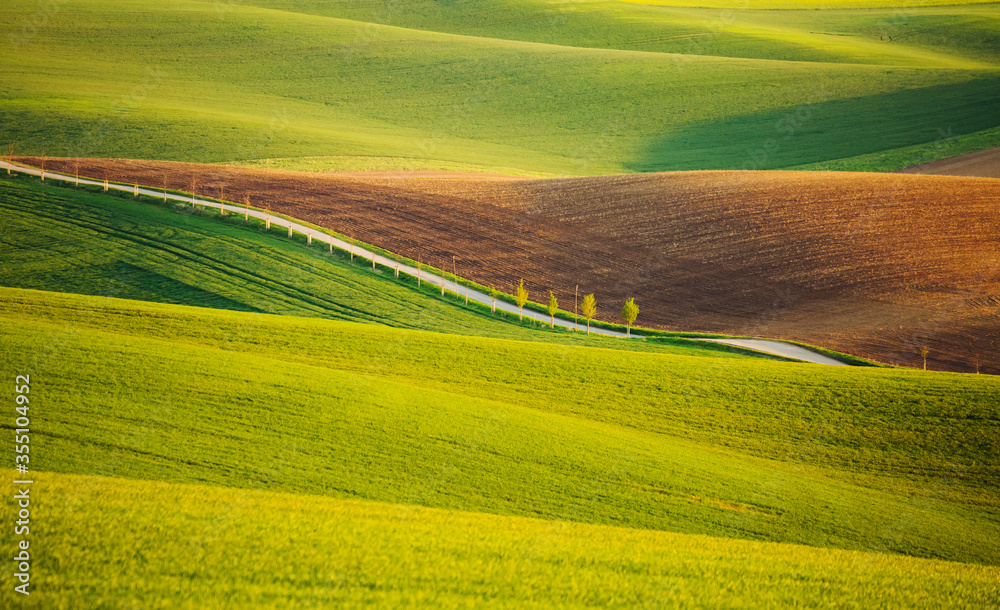 Perfect sunlight on the wavy fields of agricultural area. Location place of South Moravia region, Czech Republic, Europe.