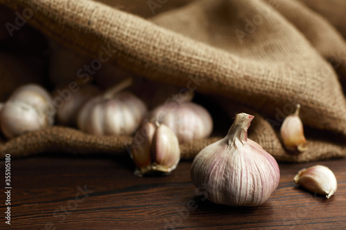Fresh garlic cloves and garlic bulb on burlap on wooden table. Organic garlic