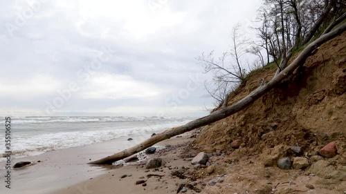 Dead tree trunk at the Baltic sea shore. Beautiful Stormy Baltic Sea Landscape View On a Cloudy Day. altic seashore near Klaipeda in Lithuania , at the place named Dutchman cap.  photo