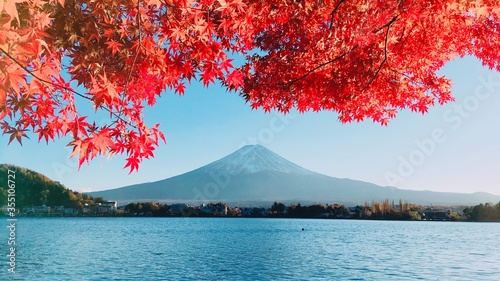 Mt. Fuji in autumn, Kawaguchiko, Yamanashi, Japan.