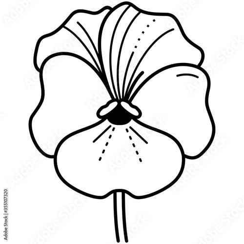 pansy flower vector icon in outs