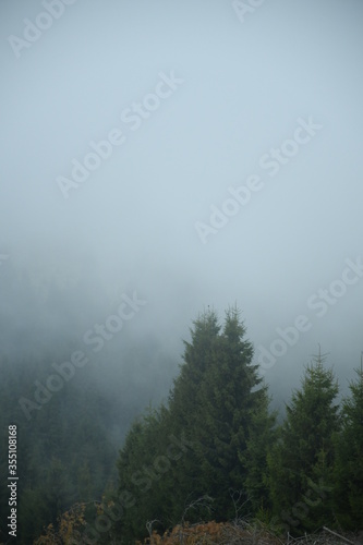Mist