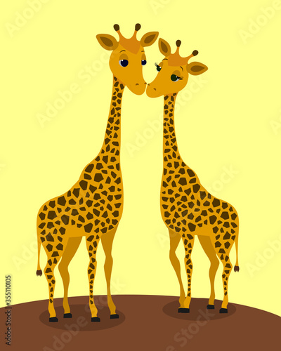 Two cute giraffes are happy because they are in love with each other. Isolated on yellow background