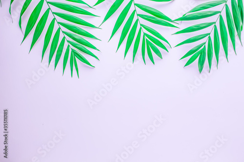 Flat layout with tropical leaves on white background. Round frame of leaves and leaves at the edges, copy space for text