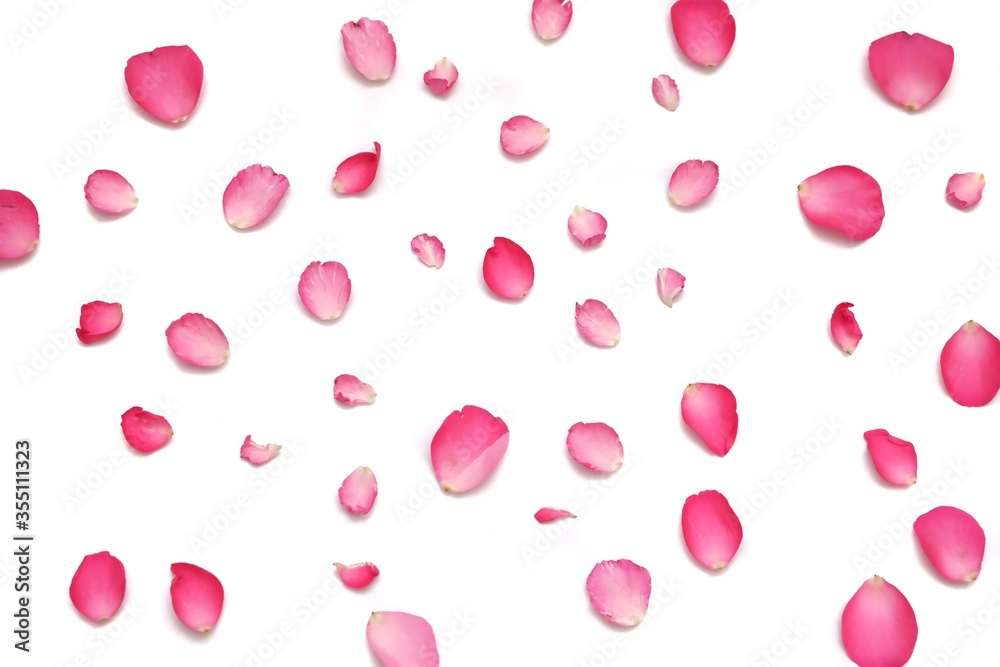 A group of sweet red rose corollas on white isolated background with copy space A group of sweet red rose corollas on white isolated background with copy space