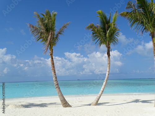 Palmen am wei  en Sandstrand