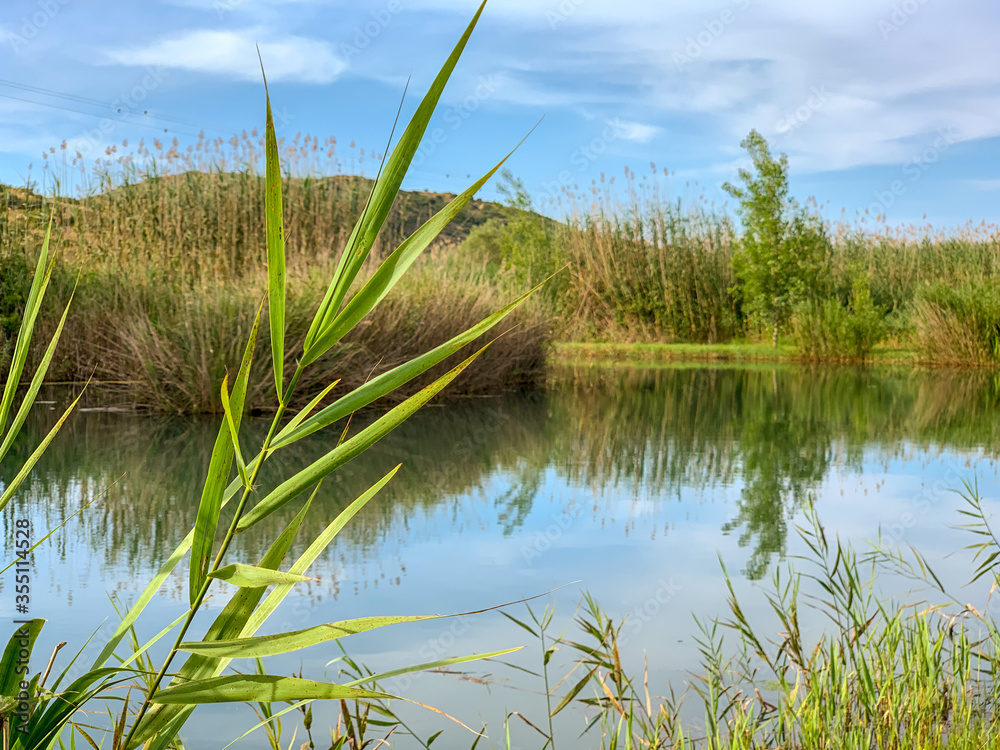 Fototapeta premium Panoramic view of a river in La Marjal wetland nature park in Pego, Spain