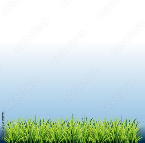 vector illustration, image of a group of grass visible from the side, as a frame or layout design element.