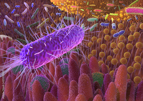 Darmflora_III_DIN_A3