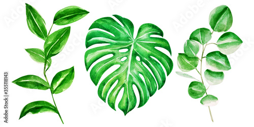 watercolor tropical leaves big set. Handmade illustration isolated on white background, can be used for decoration of printed materials, cards and for others. Tropical theme.