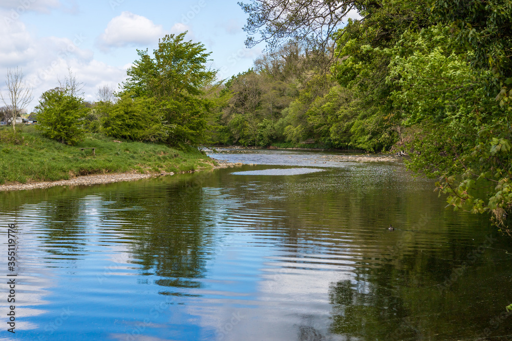 Summer day on the river ribble, Clitheroe. Gentle flowing water and lush green foliage Summer day on the river ribble, Clitheroe. Gentle flowing water and lush green foliage