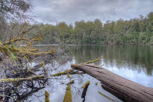 Lake Chisholm at Tarkine forest in Tasmania, Australia photo