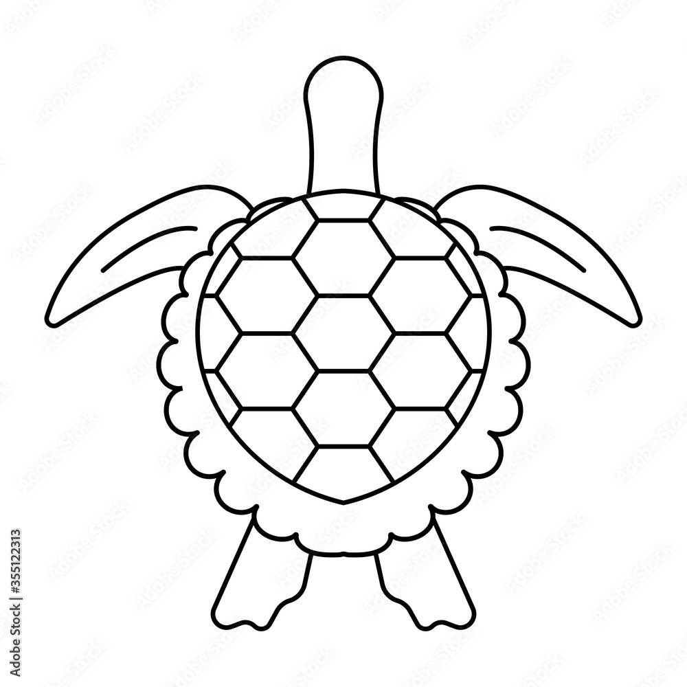 Fototapeta premium sea turtle or marine turtle top view line art icons for apps and websites