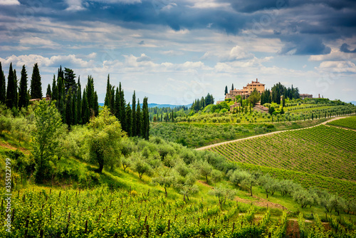 Chianti hills with vineyards and cypress. Tuscan Landscape between Siena and Florence. Italy photo