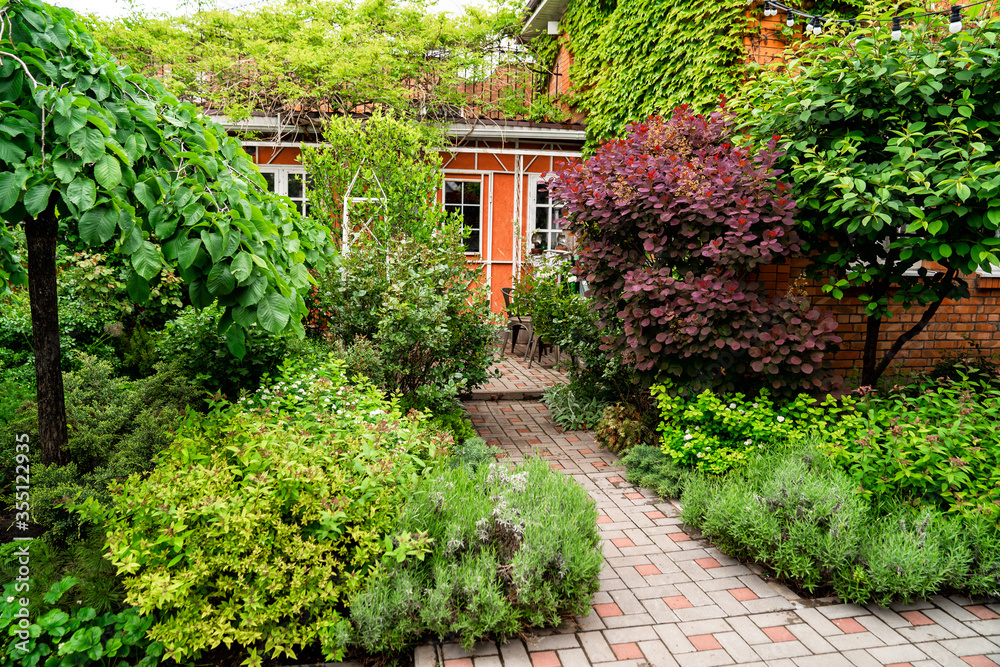 spring garden in the yard. house entwined with ivy. spring garden in the yard. house entwined with ivy.