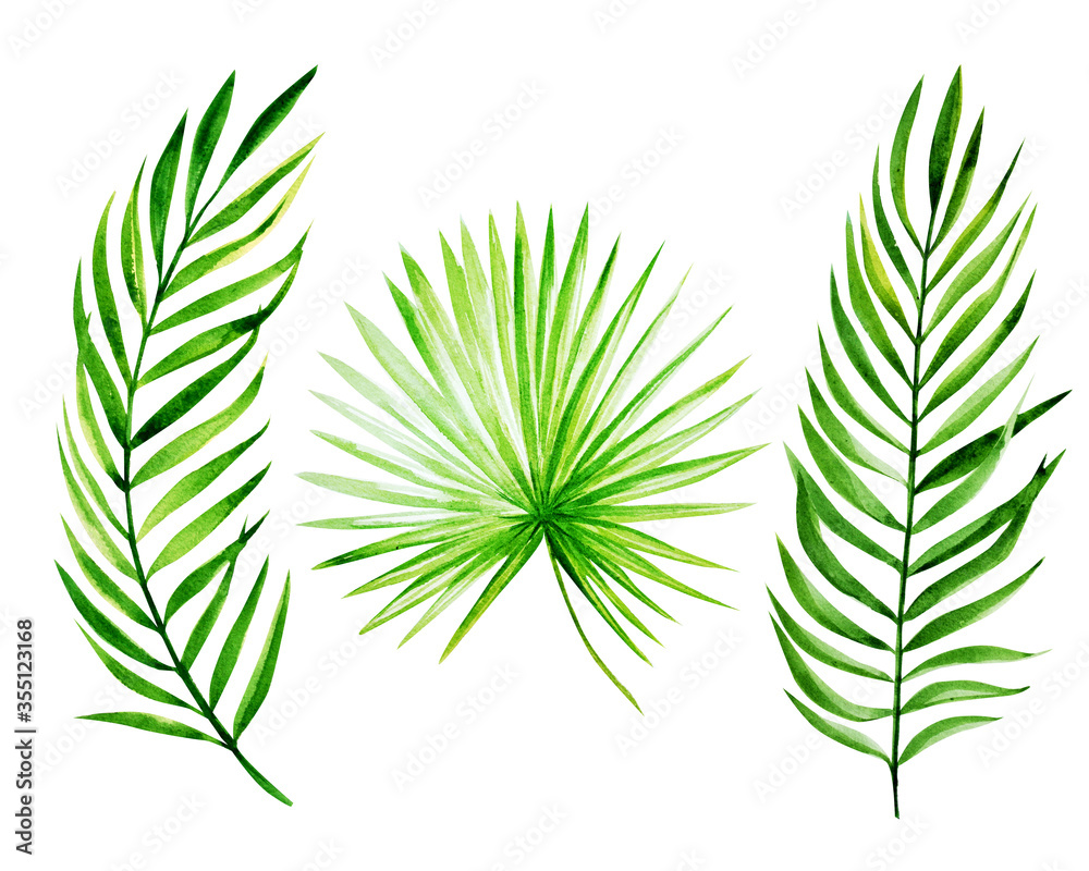 watercolor tropical leaves big set.
Handmade illustration isolated on white background, can be used for decoration of printed materials, cards and for others. Tropical theme.