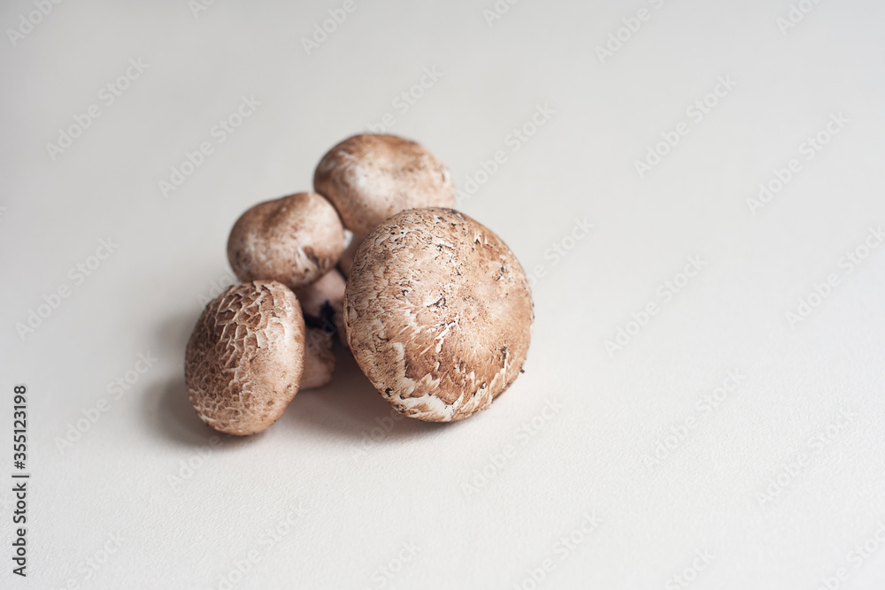 Mushrooms on a light background. Wild mushrooms just picked Mushrooms on a light background. Wild mushrooms just picked