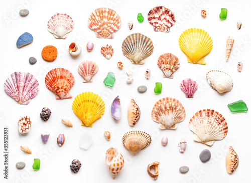 Top view on different sea shells. Flat lay with colorful mollusc shells, corals and wave-worn pieces of glass and stones. Finds from ocean beach.