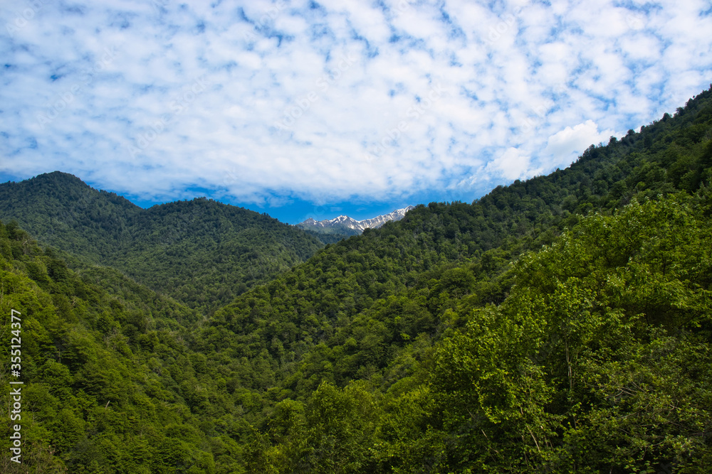 View of the forests and mountains in Samegrelo Planned National Park, Georgia.