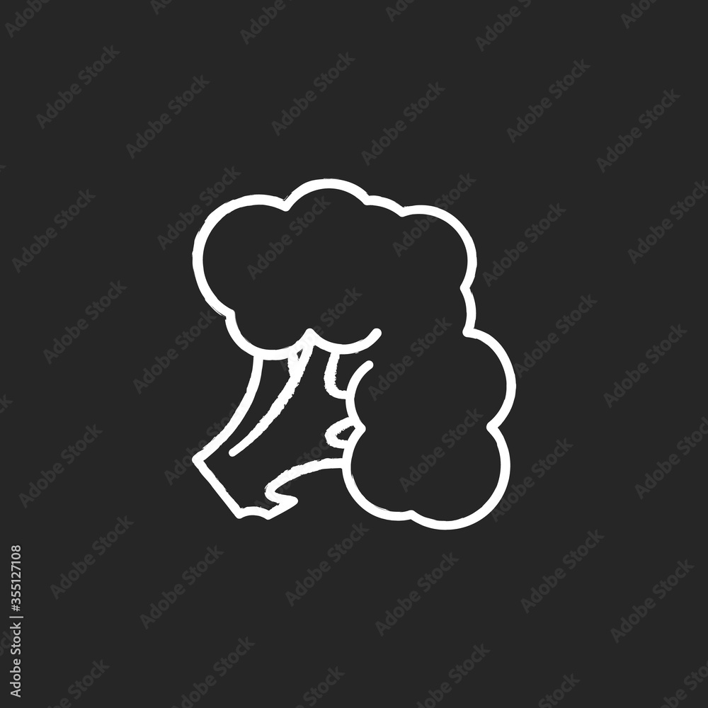 Broccoli chalk white icon on black background. Fresh vegetable. Whole vitamin veggie. Harvest product from grocery store. Raw vegetable for healthy eating. Isolated vector chalkboard illustration