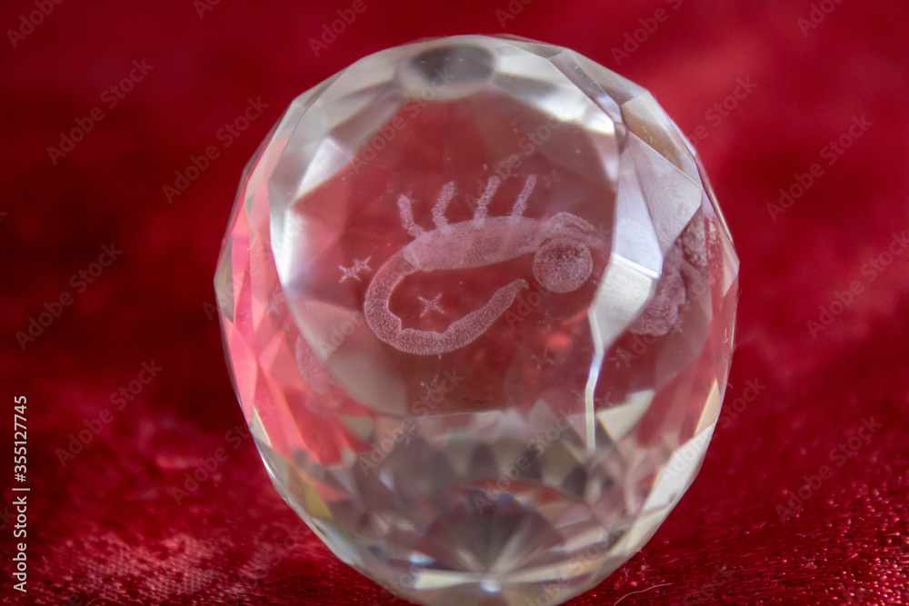 A glass egg with iridescent faces and inside the zodiac sign Scorpio. A glass egg with iridescent faces and inside the zodiac sign Scorpio.