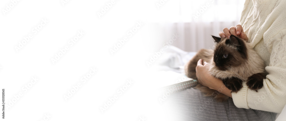 Woman with her cute pet at home, space for text. Banner design Woman with her cute pet at home, space for text. Banner design