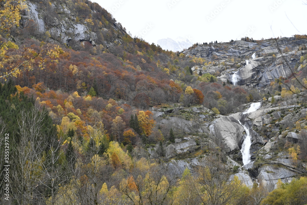 Fototapeta premium autunno