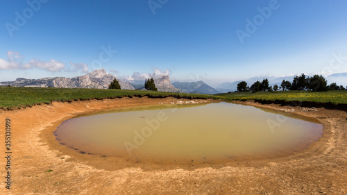 Photography Natural waterhole where wild animals and herds of sheep come to drink, Vercors,