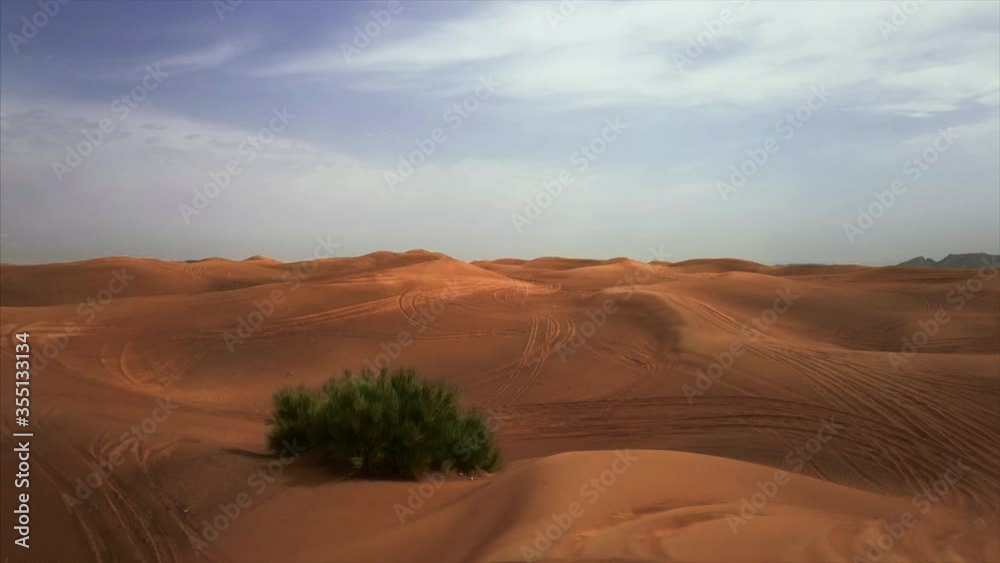 Aerial landscape of Dubai sand desert with lonely bush Aerial landscape of Dubai sand desert with lonely bush