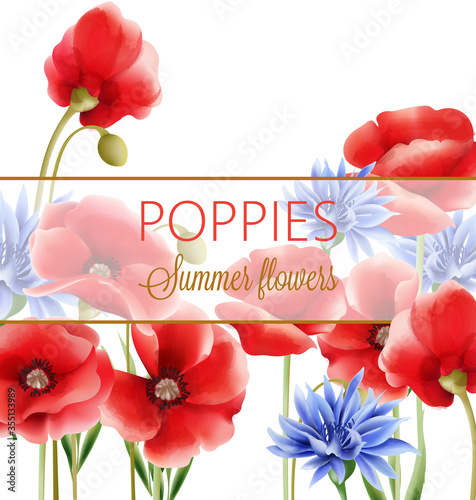 Summer flowers greeting card with blue cornflower and poppies. Watercolor