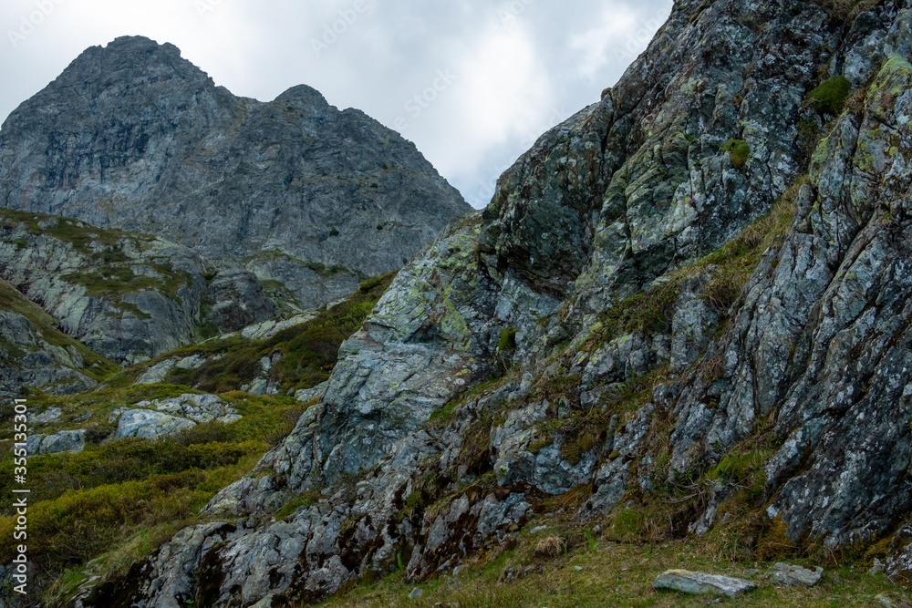 La roche et la végétation dans les Alpes françaises 