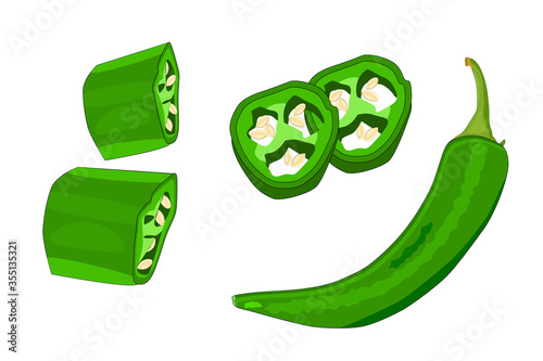 Jalapeno isolated on white background. Set of sliced jalapeno pepper, half and whole. Green pepper icon. Hot spicy chilli. Chili pepper, spice, traditional ingredient of Mexican cuisine. Stock vector