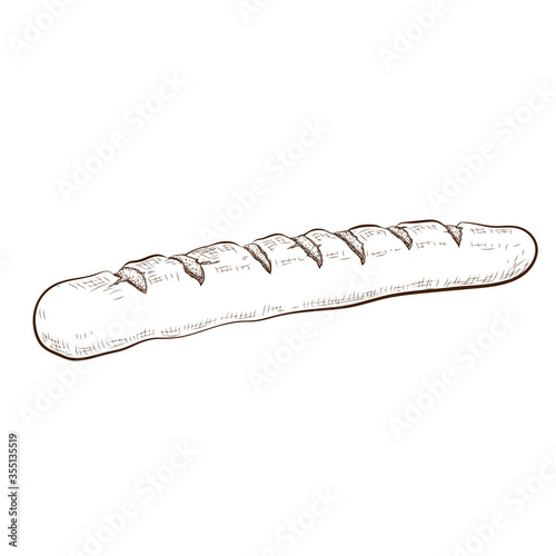 ink drawn bread isolated on white background. traditional french baguette. long wheat loaf doodle icon. Vector sketch in vintage engraving style. illustration for poster, label, menu bakery shop.