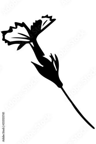 black and white vector sketch wild wild flower on a thin stalk