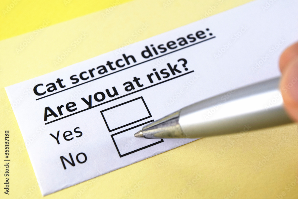 One person is answering question about car scratch disease. One person is answering question about car scratch disease.