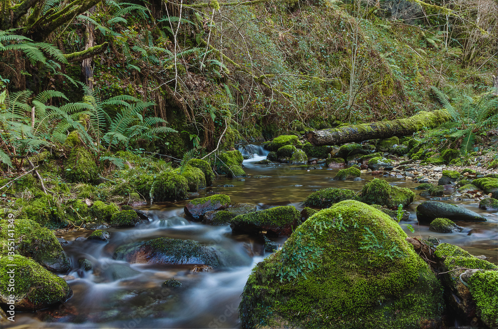 Magical landscape of a river with the water flowing among rocks covered by moss Magical landscape of a river with the water flowing among rocks covered by moss
