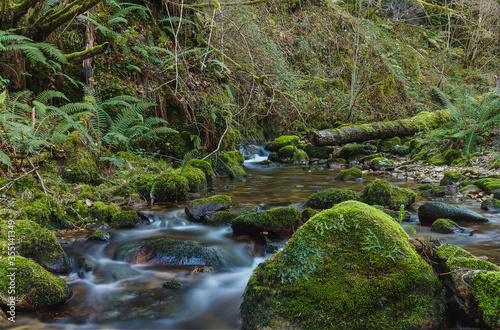 Magical landscape of a river with the water flowing among rocks covered by moss