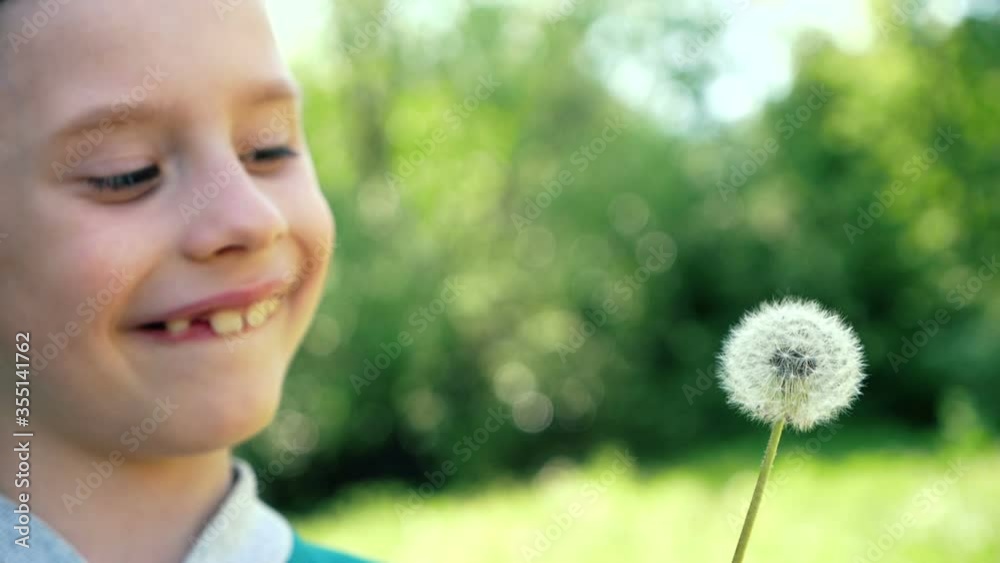 Close-up shot, close-up of a cute Caucasian boy holding a dandelion in front of him, a child admiring a flower