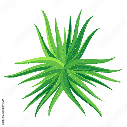 Aloe vera plant. Vector illustration cartoon flat icon isolated on white background.