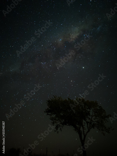 Milky Way in starry sky with tree and landscape below, timelapse sequence image 94-100
Night landscape in the mountains of Argentina - Córdoba - Condor Copina