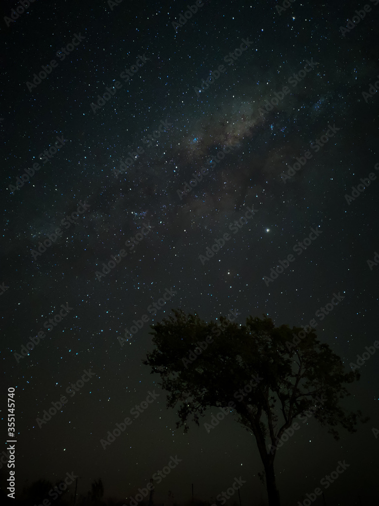 Milky Way in starry sky with tree and landscape below, timelapse sequence image 78-100
Night landscape in the mountains of Argentina - Córdoba - Condor Copina