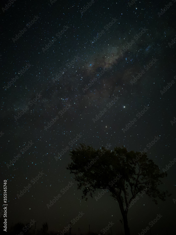 Milky Way in starry sky with tree and landscape below, timelapse sequence image 78-100
Night landscape in the mountains of Argentina - Córdoba - Condor Copina Milky Way in starry sky with tree and landscape below, timelapse sequence image 78-100
Night landscape in the mountains of Argentina - Córdoba - Condor Copina
