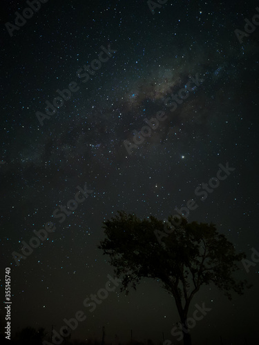 Milky Way in starry sky with tree and landscape below  timelapse sequence image 78-100 Night landscape in the mountains of Argentina - C  rdoba - Condor Copina