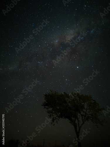 Milky Way in starry sky with tree and landscape below, timelapse sequence image 76-100 Night landscape in the mountains of Argentina - Córdoba - Condor Copina