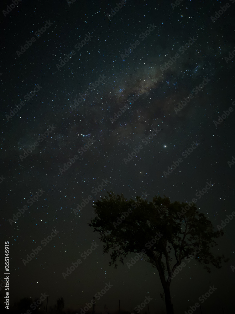 Milky Way in starry sky with tree and landscape below, timelapse sequence image 70-100
Night landscape in the mountains of Argentina - Córdoba - Condor Copina