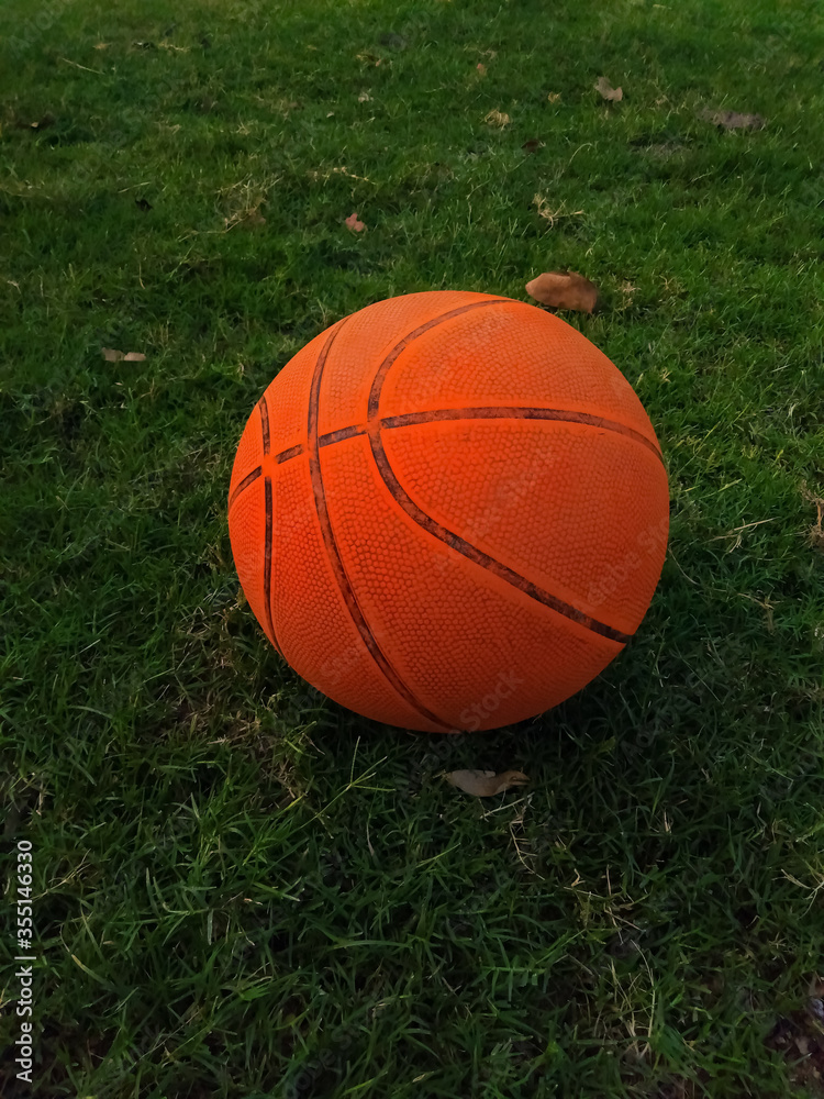 Basketball is in the Beautiful green grass.