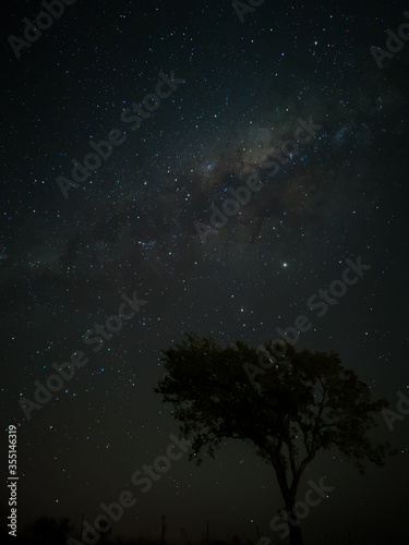 Milky Way in starry sky with tree and landscape below, timelapse sequence image 55-100
Night landscape in the mountains of Argentina - Córdoba - Condor Copina