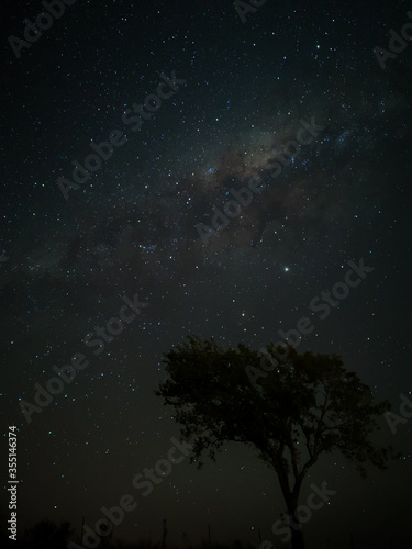 Milky Way in starry sky with tree and landscape below, timelapse sequence image 52-100 Night landscape in the mountains of Argentina - Córdoba - Condor Copina