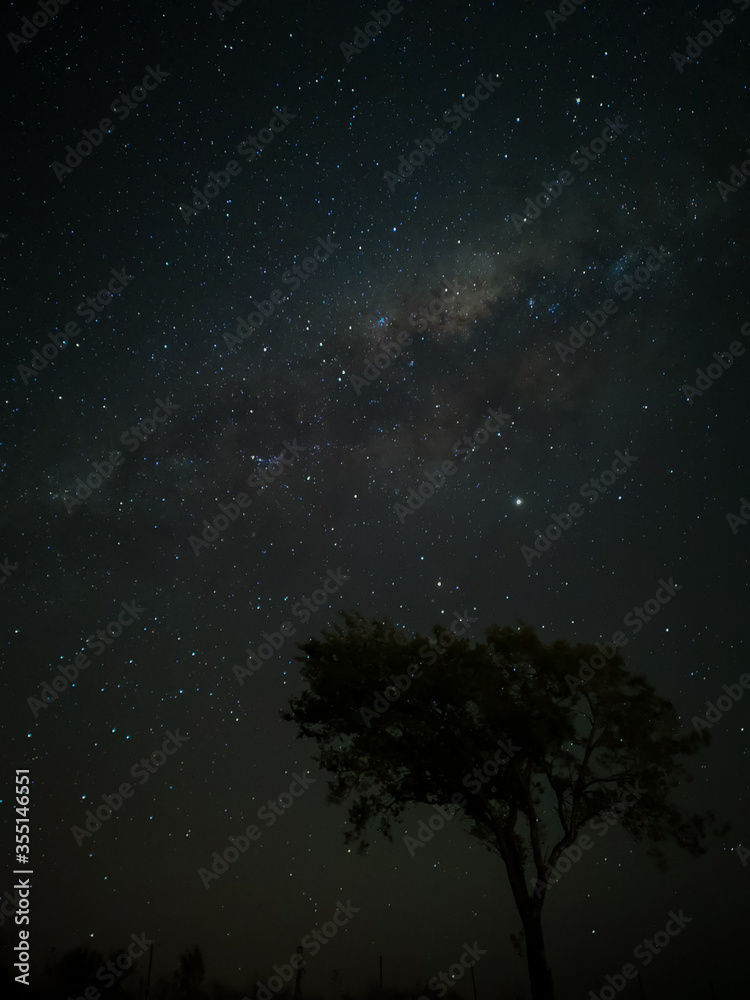 Fototapeta premium Milky Way in starry sky with tree and landscape below, timelapse sequence image 44-100 Night landscape in the mountains of Argentina - Córdoba - Condor Copina