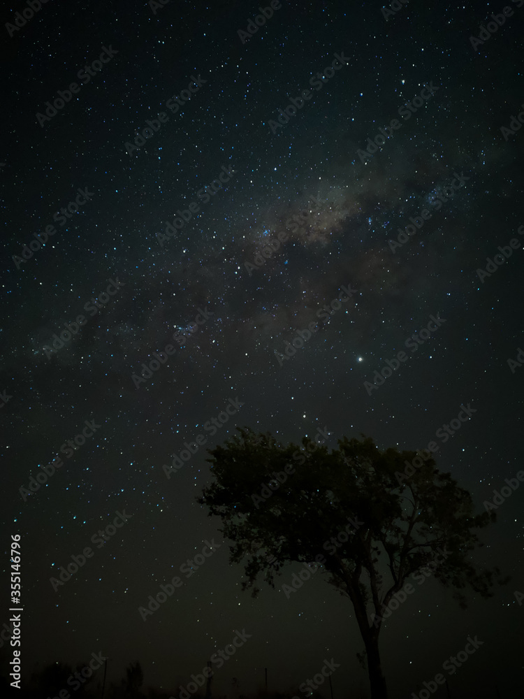 Milky Way in starry sky with tree and landscape below, timelapse sequence image 35-100
Night landscape in the mountains of Argentina - Córdoba - Condor Copina